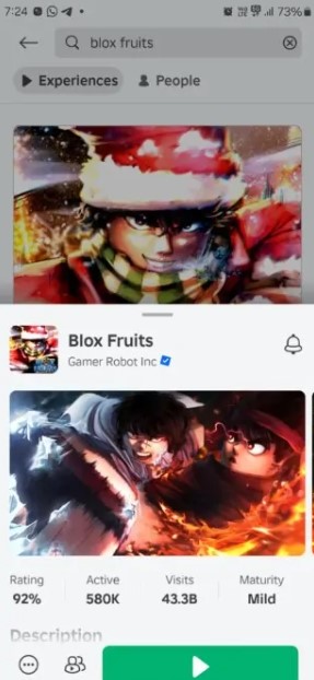 Roblox Game Blox Fruits